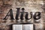 Bible alive