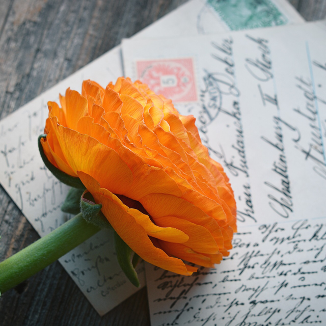 romanticizing-the-past