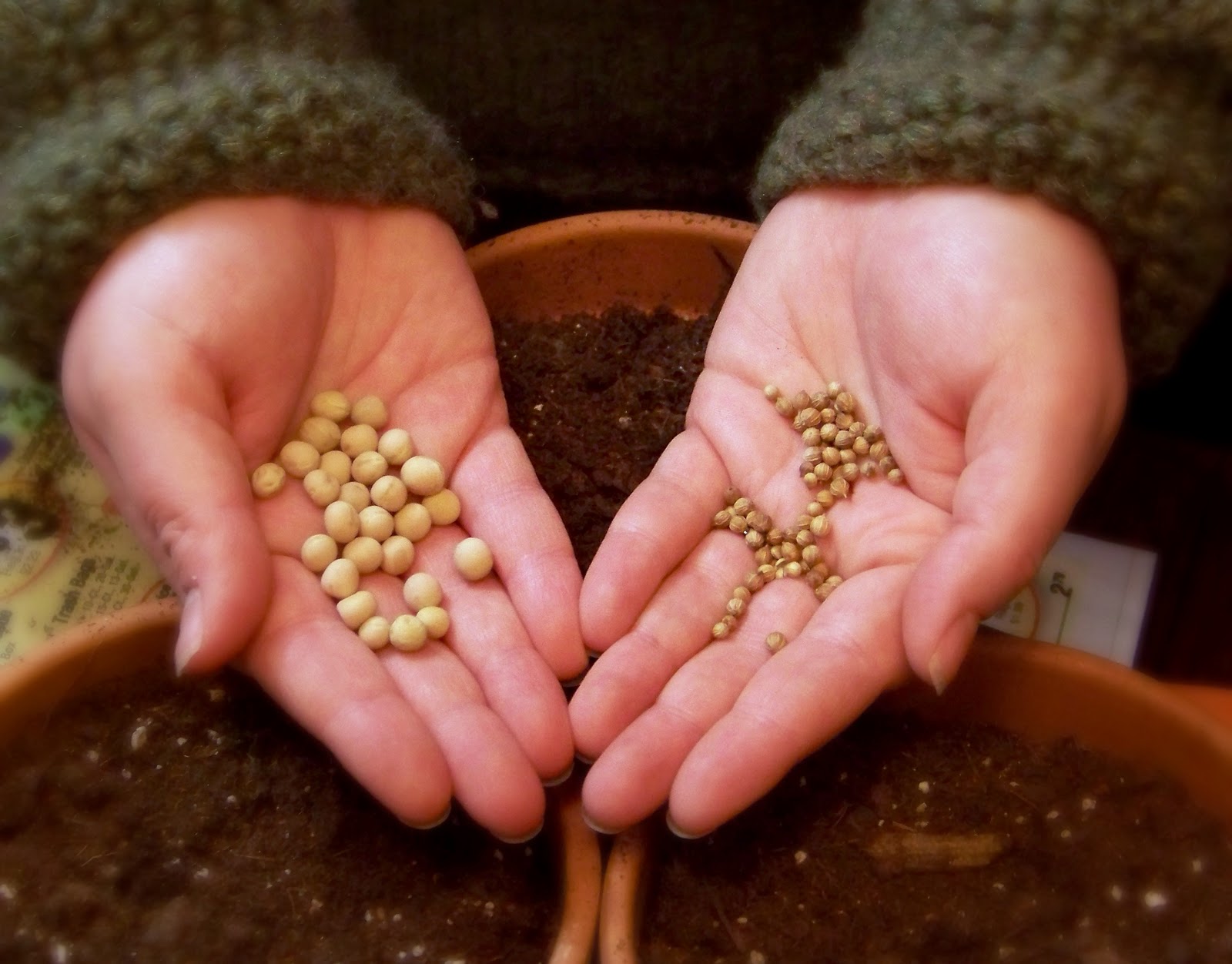 Winning Ground in the Battle Field of the Mind