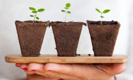 A New Word For A New Year