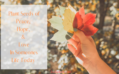 Are You In Need Of Some Wisdom Today?