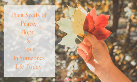 Are You In Need Of Some Wisdom Today?