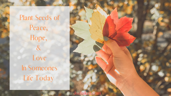 Are You In Need Of Some Wisdom Today?