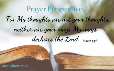 Perspective Guides, Drives, and Changes Us