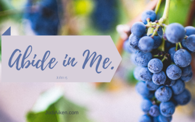 What Does Abiding Look Like For You?