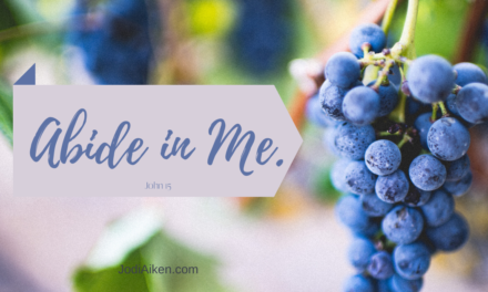 What Does Abiding Look Like For You?