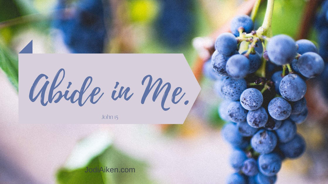 What Does Abiding Look Like For You?